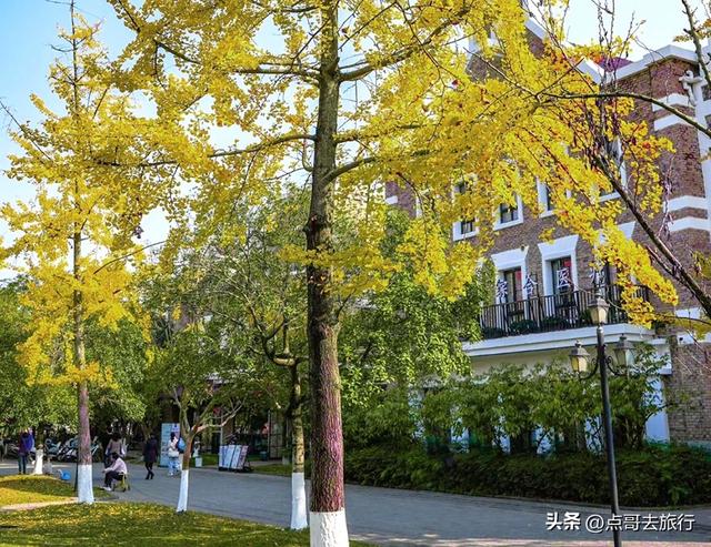 成都超级低调奢华的公园，色彩斑斓，被严重低估，公交车直达！