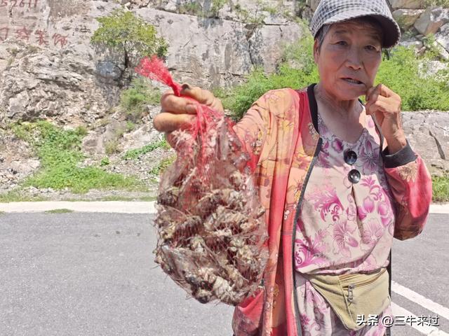 无为在歧路，章丘东南行