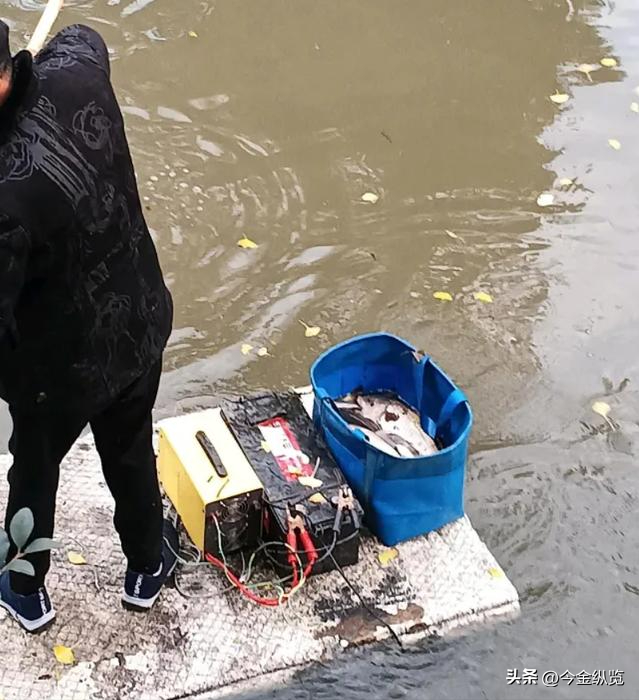 邻居相约电鱼	，一人溺亡！同行者竟要赔钱？这事儿到底冤不冤？