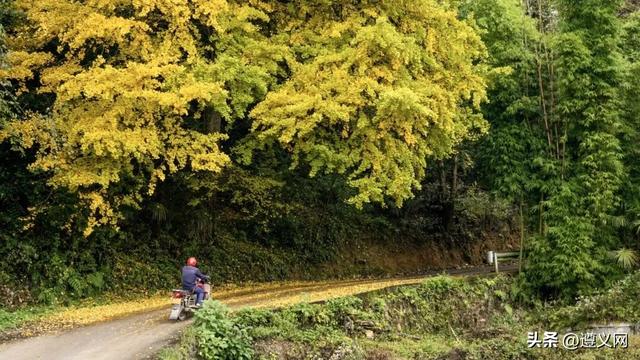 悦·遵义丨是心动呀！遵义，你这么好看！