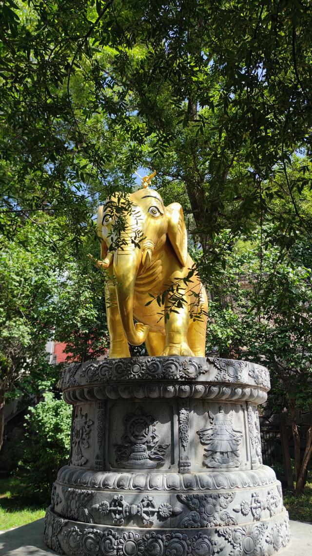 藏传佛教格鲁派四大寺院之一，西宁塔尔寺，碰巧免费进去了