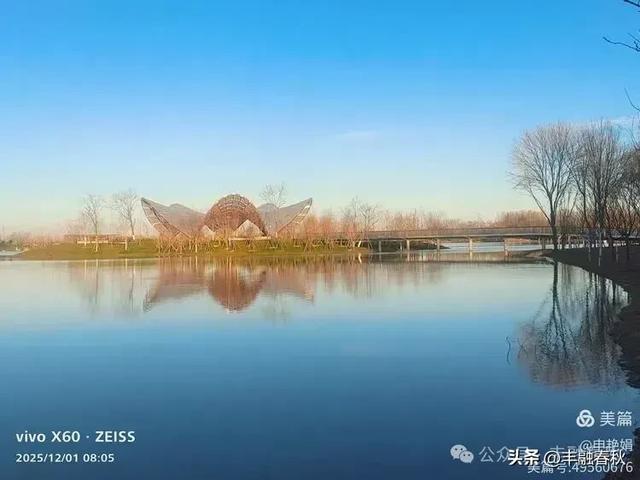 初冬北京朝阳坝河金盏淀:清寒里的静美画卷|申艳娟