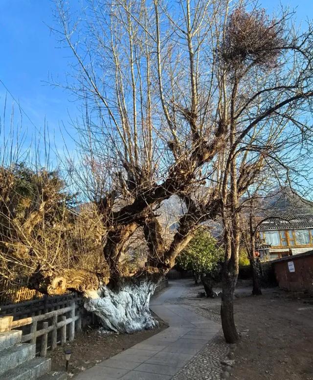 湖畔古村落 | 走进摩梭人家