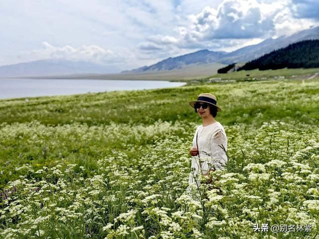 自驾新疆,赛里木湖半日游,环湖游注意事项,可当攻略(5)