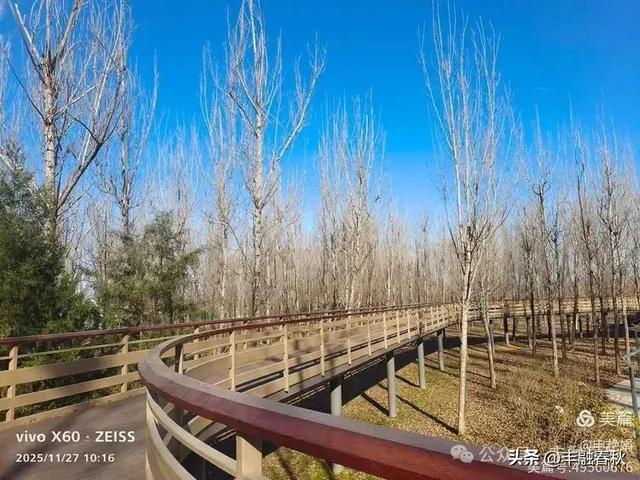 初冬北京玉河湿地公园游记｜申艳娟