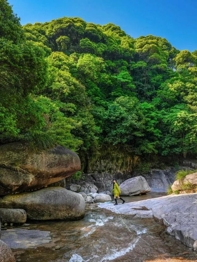 趣清凉·享太平 | 从“人从众”到“躺进山野”！东黄山让这届年轻人上头了！|皖美夏日