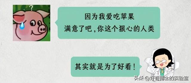 为什么淘宝订单号的后6位，是永远不变的？