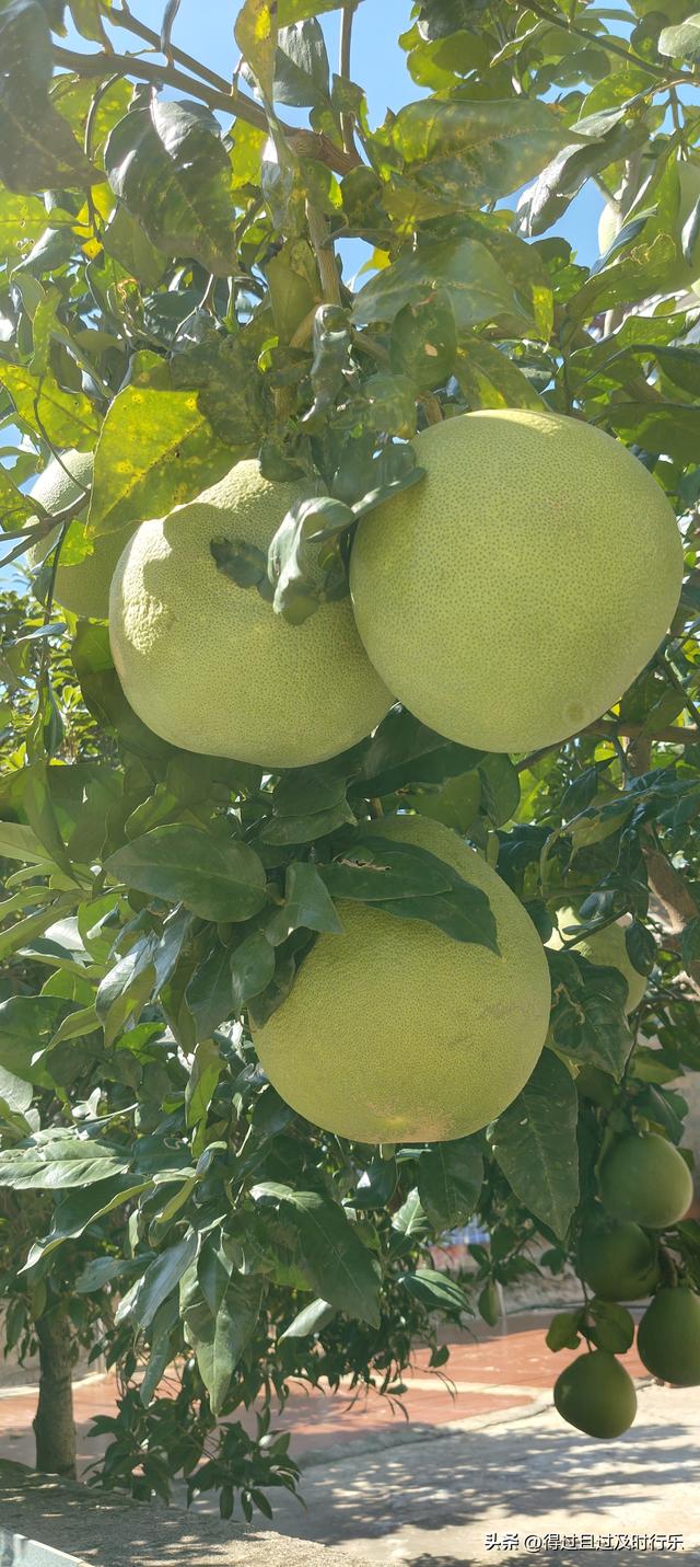 品味鄱阳湖大闸蟹，感受秋天的鲜美