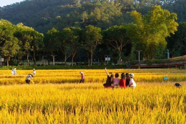 就现在，一起去南山公园遛弯~