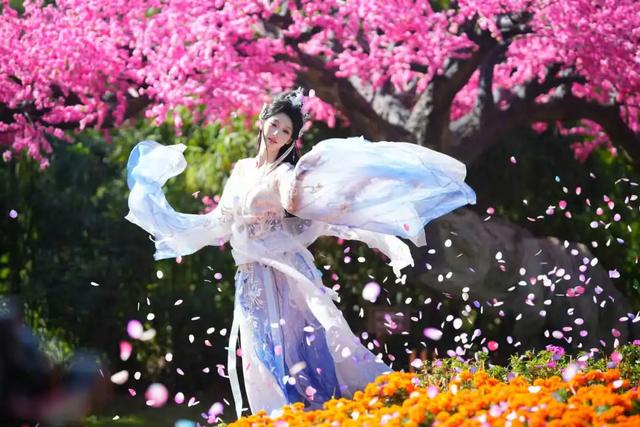 春风有信，木棉花开有期！在东莞观音山，找到了春天热烈的模样！