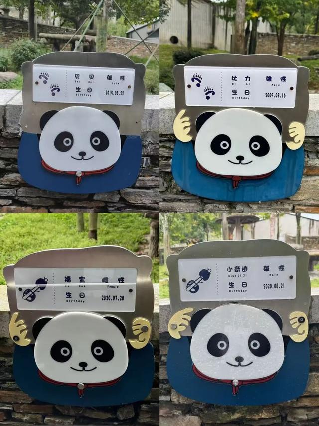 卧龙神树坪基地新玩法来啦！