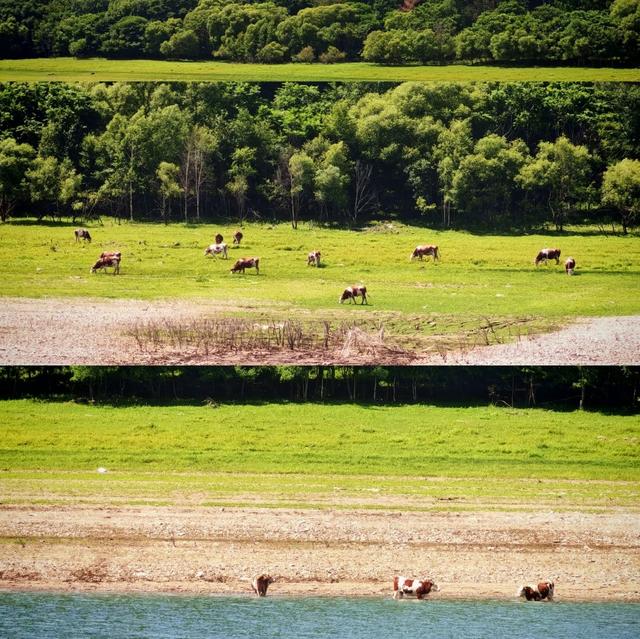 我是上海人，旅游景点松花湖，跟风冬滑雪，反向夏游见湖景真宝藏