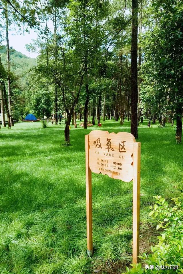 今日立秋 | 秋天的第一份清凉 石屏送给你