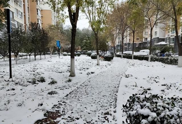 十月初六决定冬季命运？ 气象局回应：今年冬天偏暖但需警惕这一点