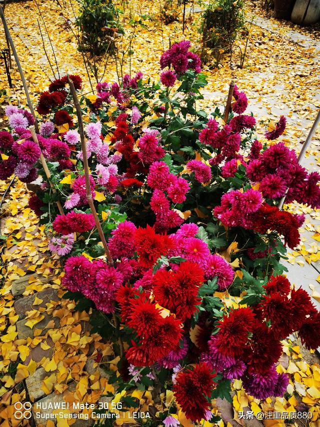 据我实际体验，冬天不宜自驾游