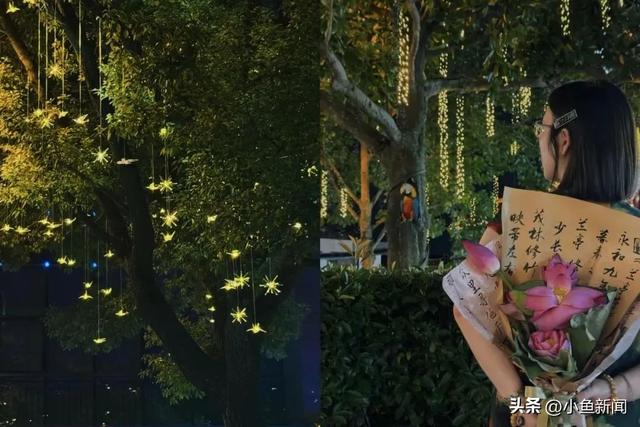 最近大家都不睡懒觉了？