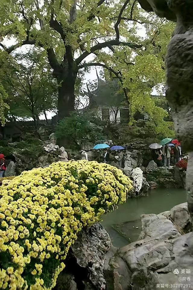 雨中看姑苏