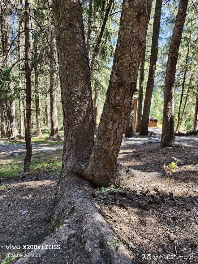 天山天池一一不能错过的风景，错过了一辈子都会后悔