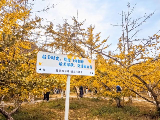 年假清零倒计时，该出发了！把最后几天留给韶关的彩林山水