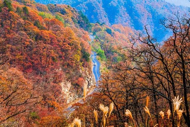 大山里的仙境，漫山红叶，斑斓如画，藏着中国最“英雄”的秋天！