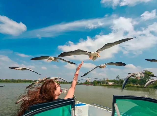 厉害了！世界上只有中国徐州市才有的全球独一无二的10大奇景！