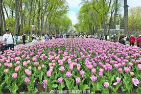 三大理由让你无法对西宁说“NO”图片