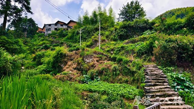 皖浙摩旅二人转——谷丰村篇
