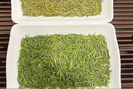 四川最出名的十大名茶排行图片