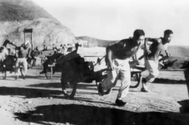 毛主席在视察密云水库时，为何有条大鱼一直伴随其左右？至今未解