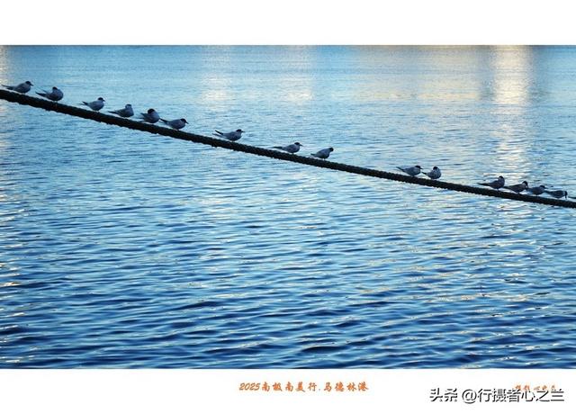 南极南美三国行游影记（71）—阿根廷马德林港（二）