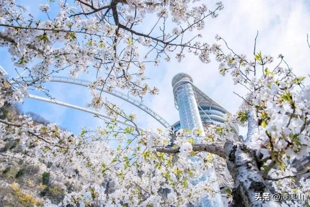 殊荣为鉴，山水为证！淄博潭溪山入选山东省生态旅游发展典型案例！