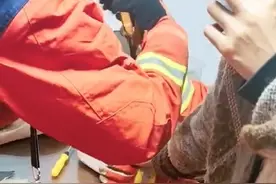 尴尬！女子喂猫将手指“喂”给自动猫粮机 消防队员上门破拆图片