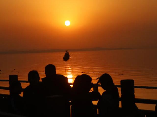 网红大桥下：三门峡的周末热度藏着新答案