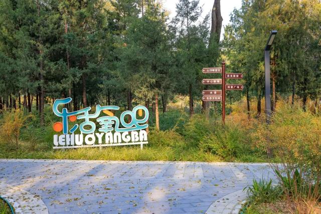 藏不住的惊艳!这座公园正处颜值巅峰