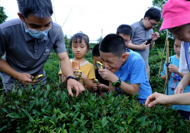 文旅资讯 | 河源两家民宿荣膺广东省首批银牌级非遗主题民宿