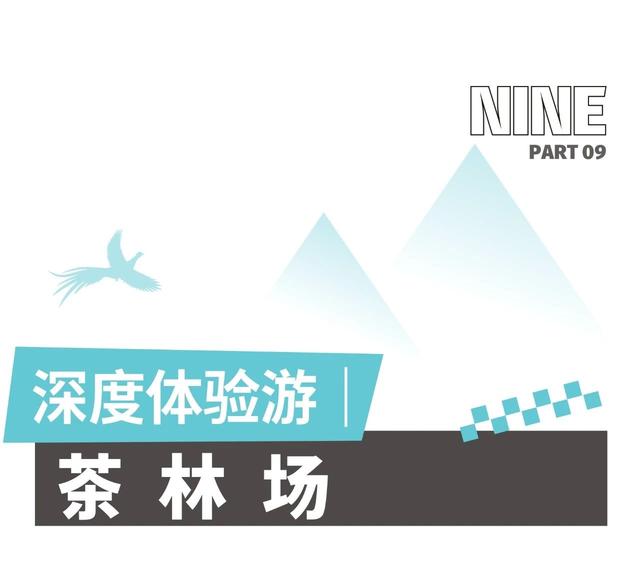 趣清凉·享太平 | 从“人从众”到“躺进山野”！东黄山让这届年轻人上头了！|皖美夏日