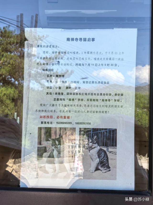【山西游】南禅寺，最古老的唐代木构建筑，浪浪山妖怪洞的佛影