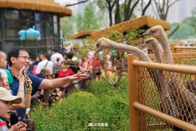 逛展后玩独一份!汉阳4个“武汉唯一”必冲