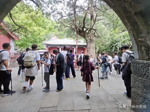 徒步登泰山之一——3小时从一天门到中天门