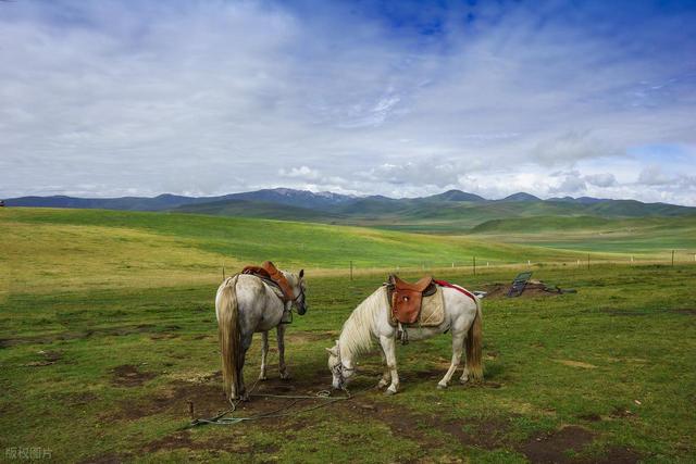 甘肃与四川青海三省交界有座小城，雪山碧水，让张骞都流连忘返