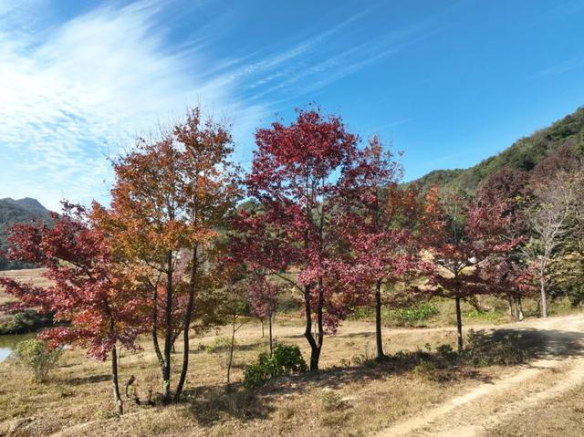 怀集的四季!带你回顾,带你深入