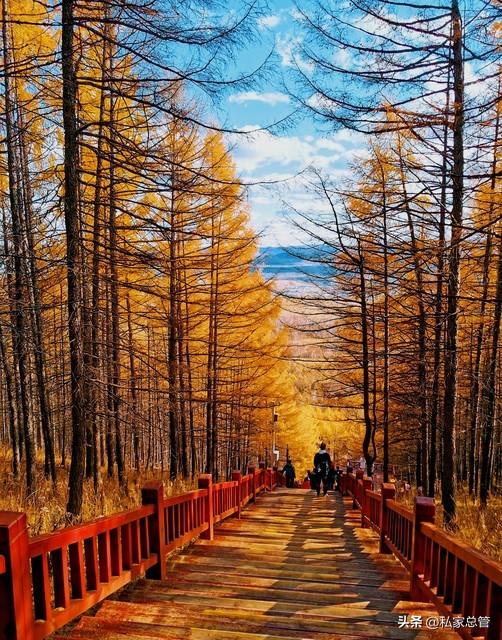 十一阿尔山旅游攻略