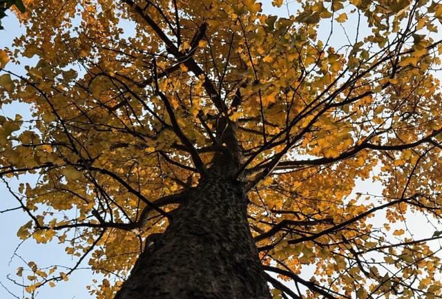 我是北京人，在四川泸州逛了几天，憋不住想讲讲这趟行程的感受。