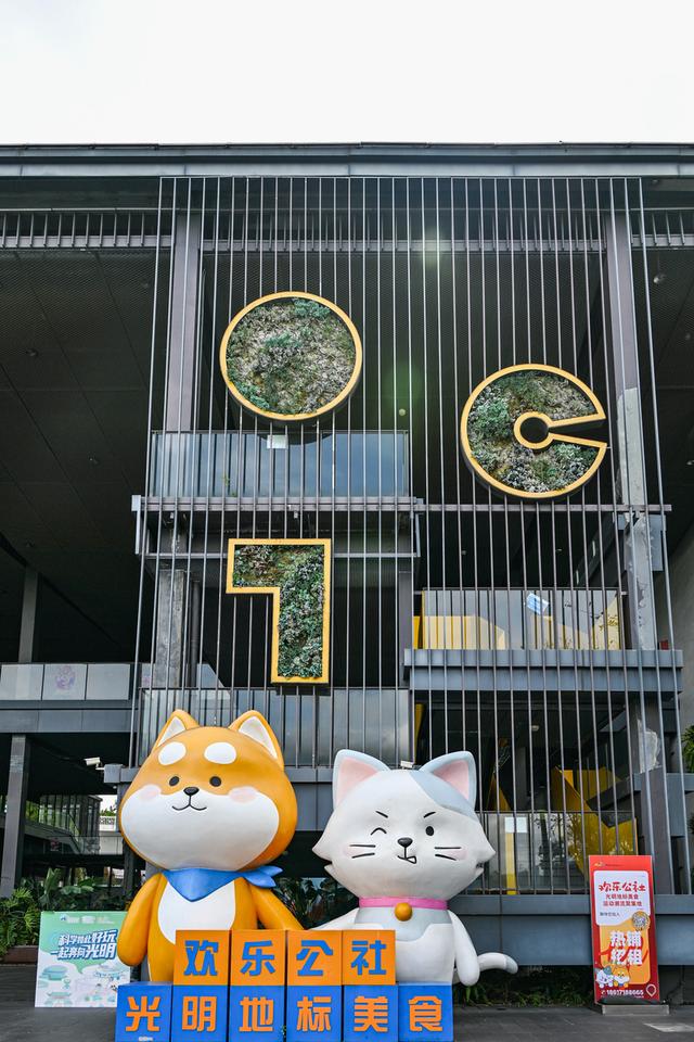 深活指南｜城市漫游指南·光明站