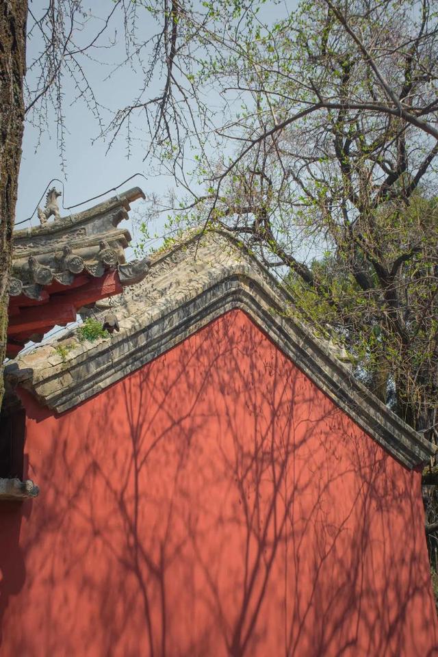 南阳，到底有多“中”？这座被低估的河南宝藏，藏着半部中华史！