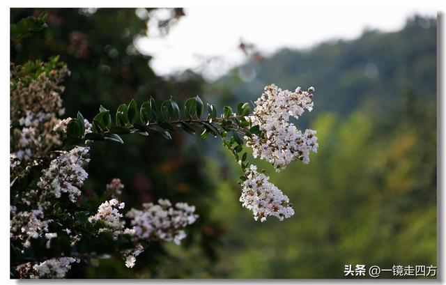 大连滨海路终点的海之韵公园