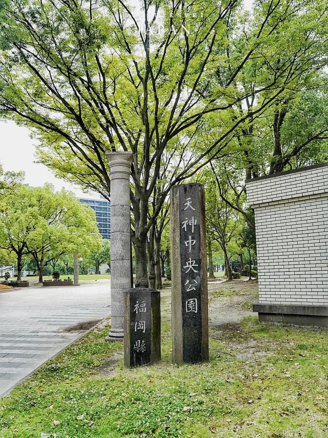 九州之旅从福冈开始!这里不只有拉面,还有精彩的山笠祭!