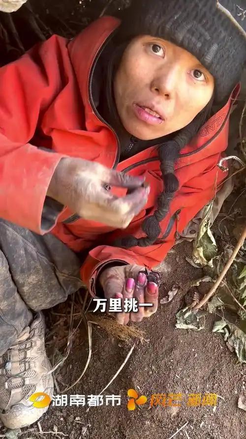 地方文旅捡漏流量!荒野直播爆火,小众景区迎来新机遇