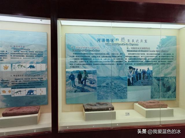 来河源才知道河源是中国恐龙之乡，挖掘出的恐龙蛋超级多