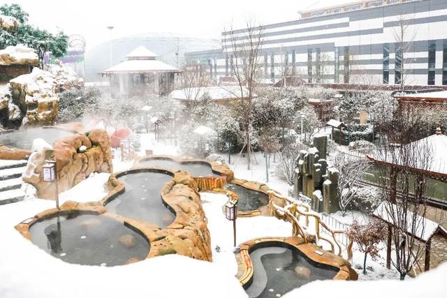 董宇辉力荐山东！潍坊，邀你赴约~